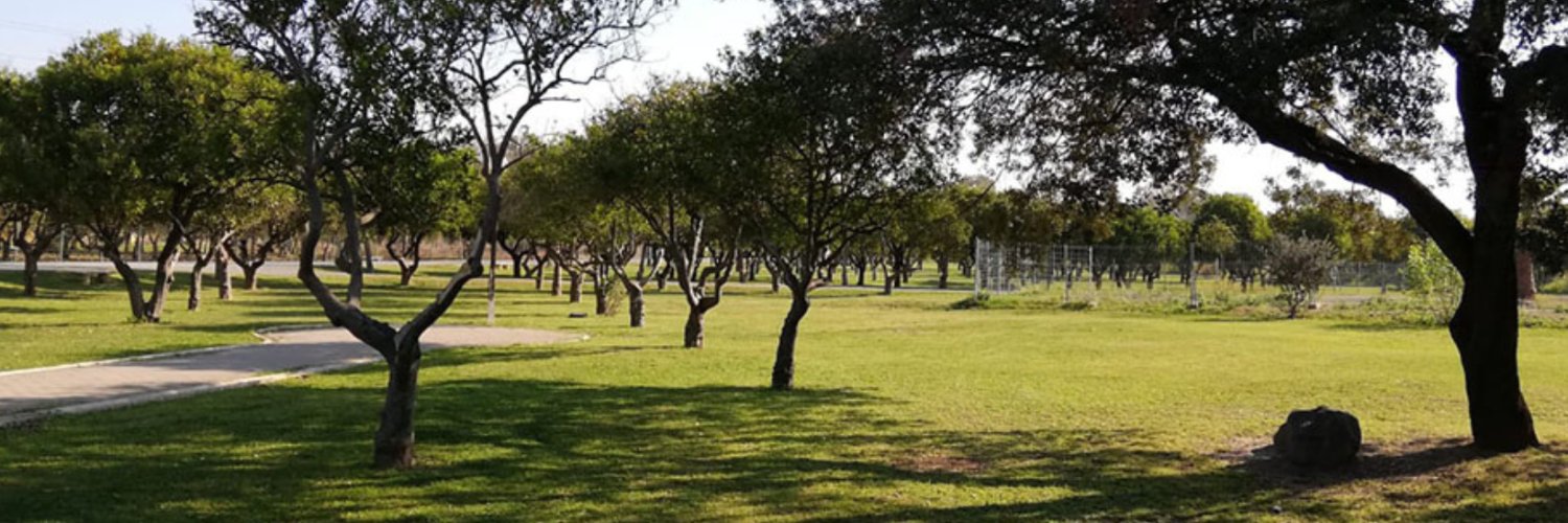 Parque del Alamillo banner