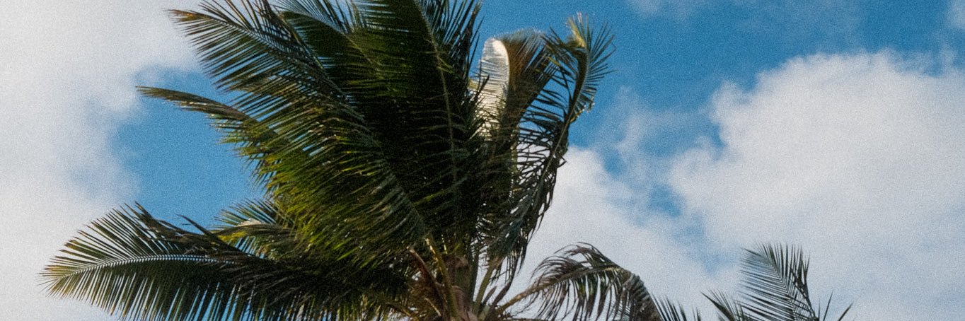 tasmint_'s profile banner image