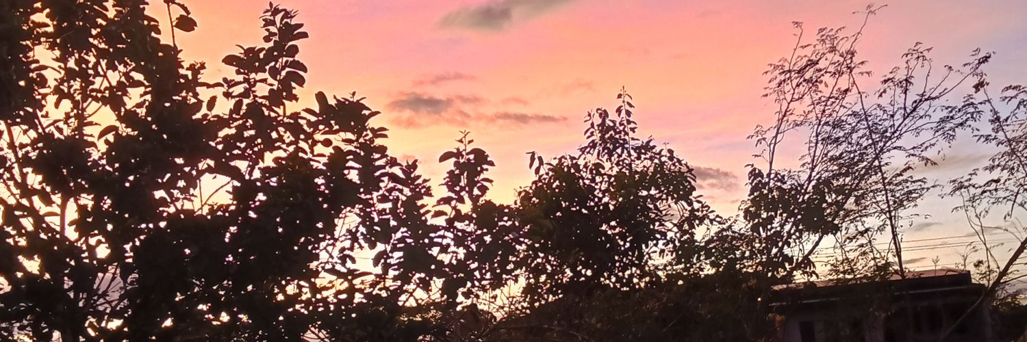 javierjaneen's profile banner image