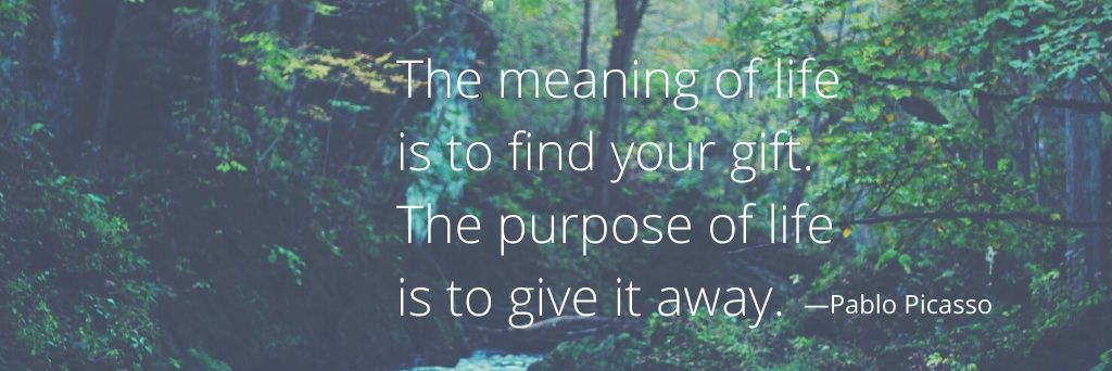 Sally J. Saragusa, MBA, MSEd, EdD banner