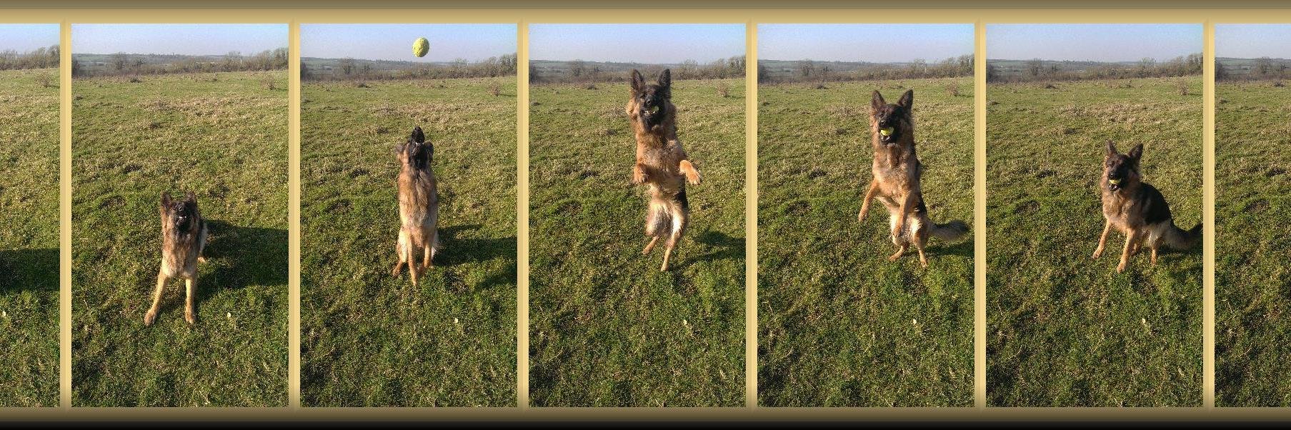 LEICAPUP's profile banner image