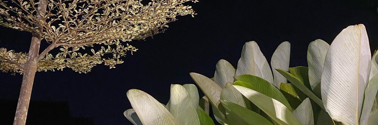 evatheskies's profile banner image