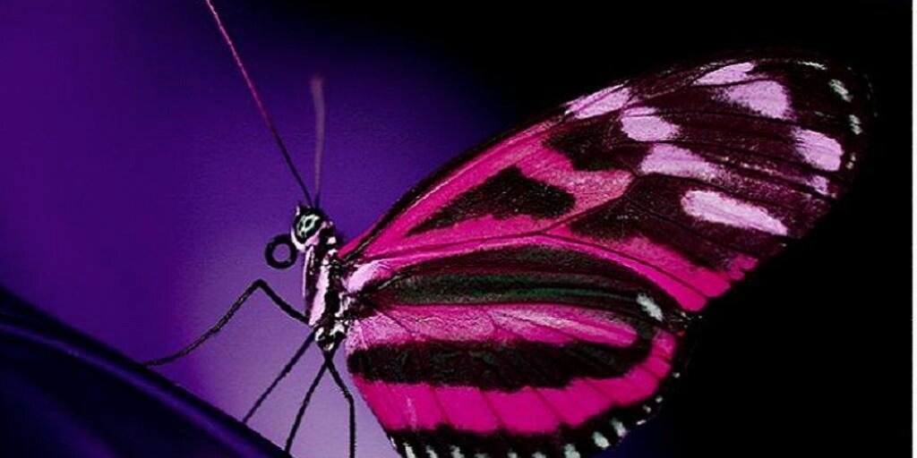 TheCoach4Women's profile banner image