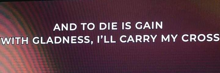 __shemm's profile banner image