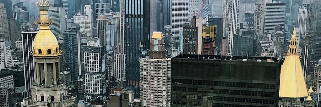 Reggie Wexler💍💍💍💍💍💍 banner