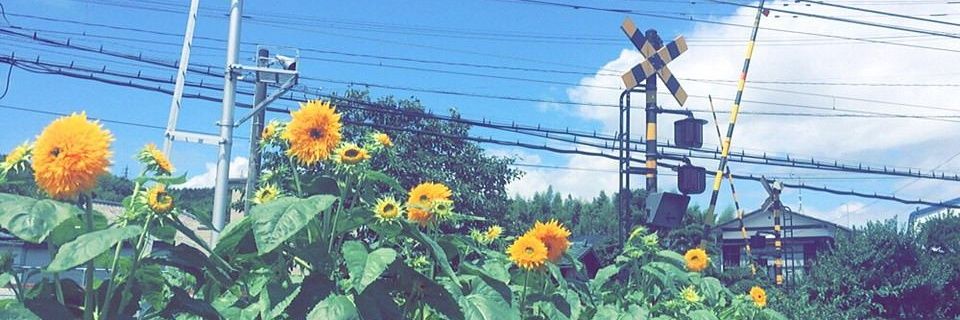 a8_t8_'s profile banner image