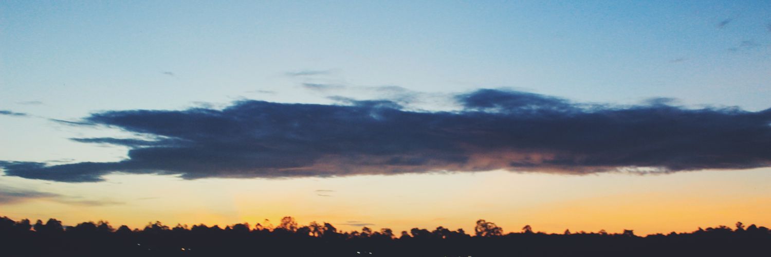 wenaries's profile banner image
