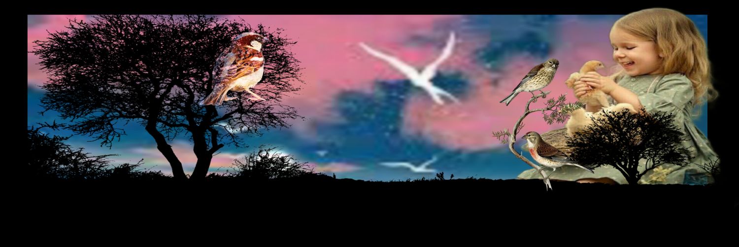 2_F_M's profile banner image