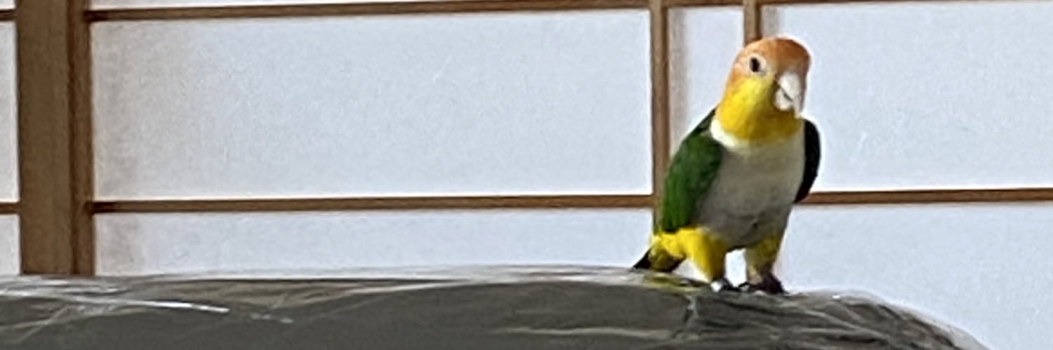 utsu_edge's profile banner image