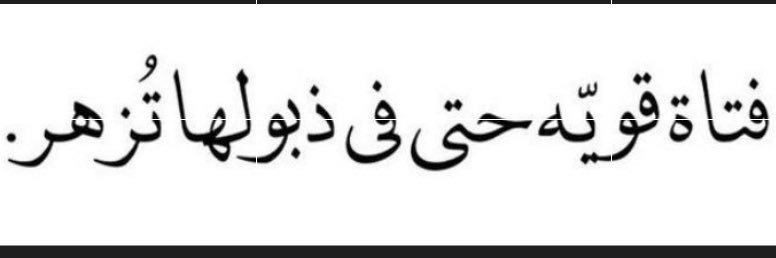 sama_alz's profile banner image