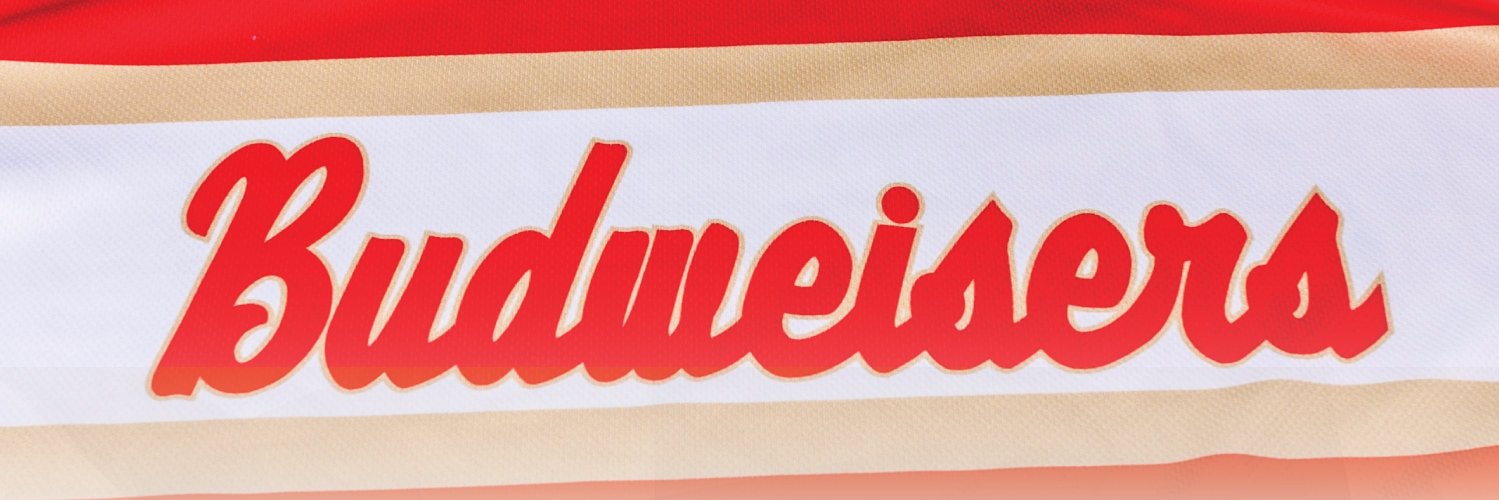 Dubuque Budweisers banner