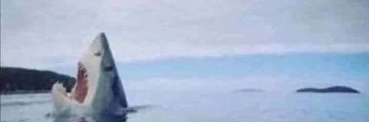 ivannaaaac's profile banner image