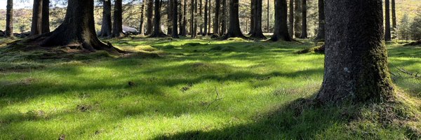 Ewout1985 Profile Banner