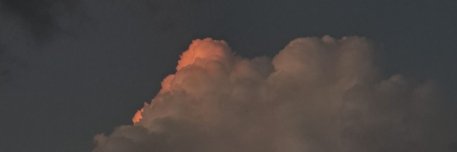 alliiigg's profile banner image
