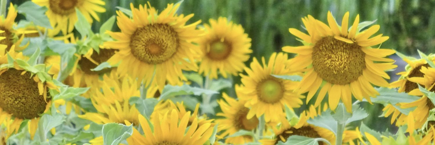 K・I・T　(ま〜しゃ☆) banner