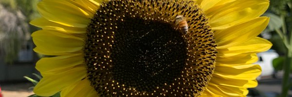 Ravi__Nath Profile Banner