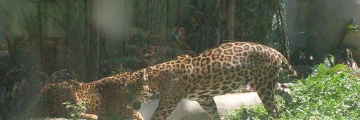 frederico2105's profile banner image