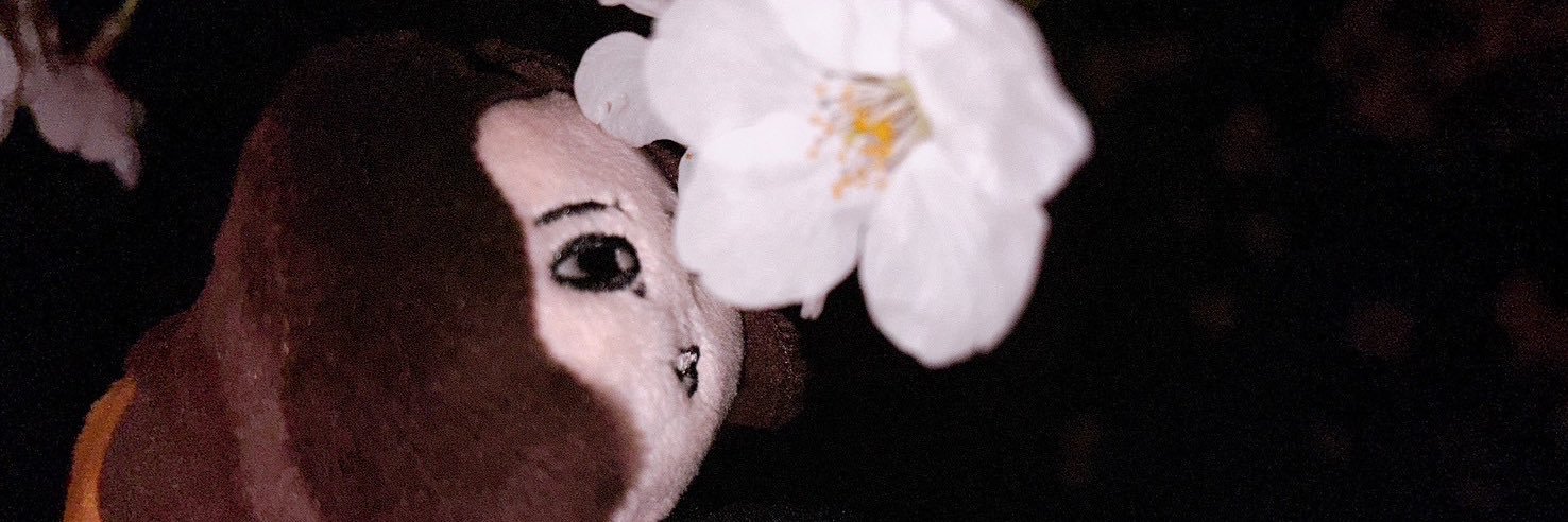 抹茶入り玄米茶 banner