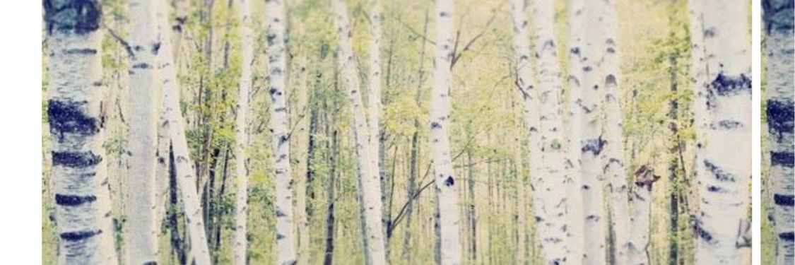 BCSchindler's profile banner image