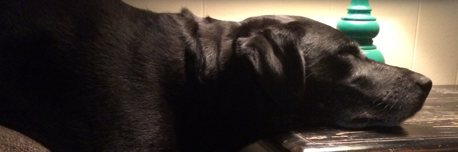 Jenny banner