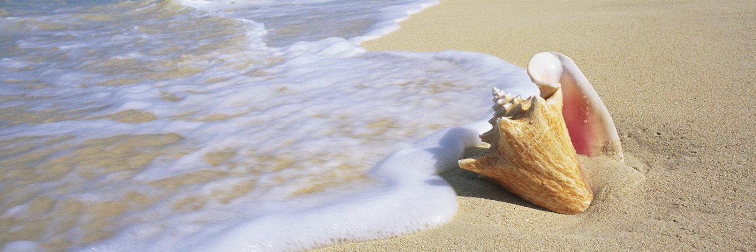 BearcatRick80 banner