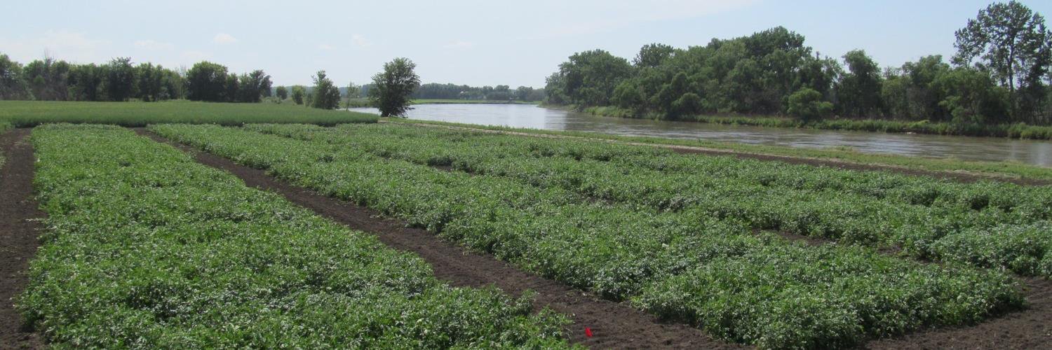 Gaia Consulting Ltd. banner