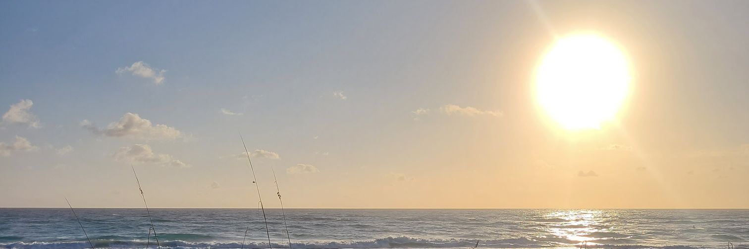 Donald E. Fennoy II banner