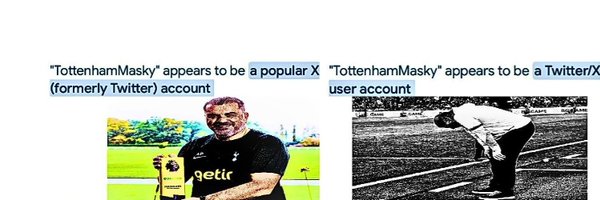 TottenhamMasky Profile Banner
