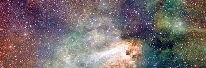 escarabarro's profile banner image
