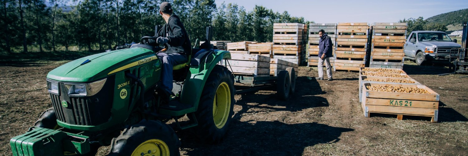 Desarrollo Local e Inversiones banner