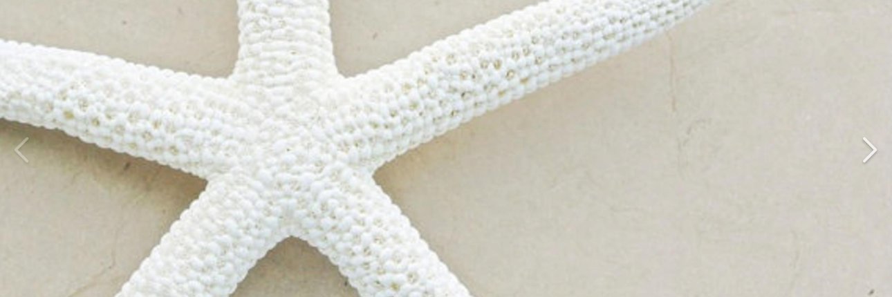 deborahruthroy's profile banner image