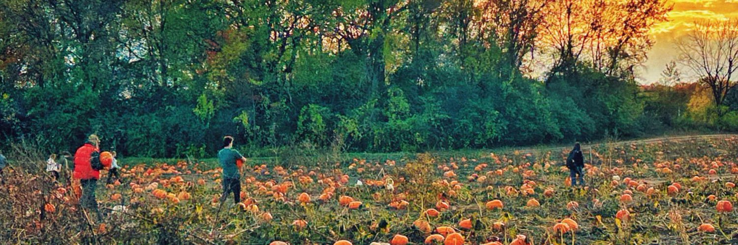 Dr. Ben Hartnell banner