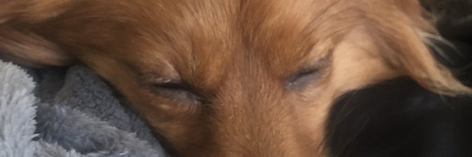 jamieOC1987's profile banner image