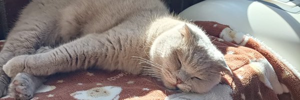 RazorkLoL Profile Banner