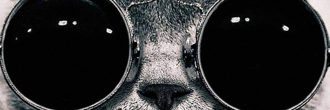 graytek's profile banner image