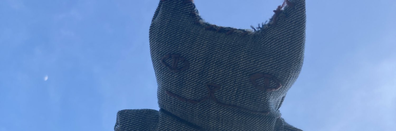 sooospicey's profile banner image