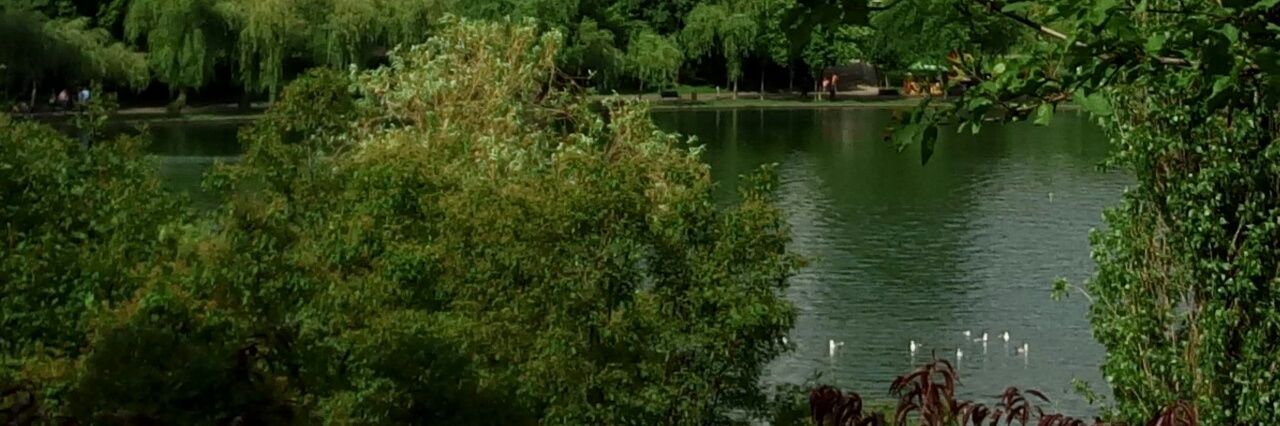 ParculIOR's profile banner image