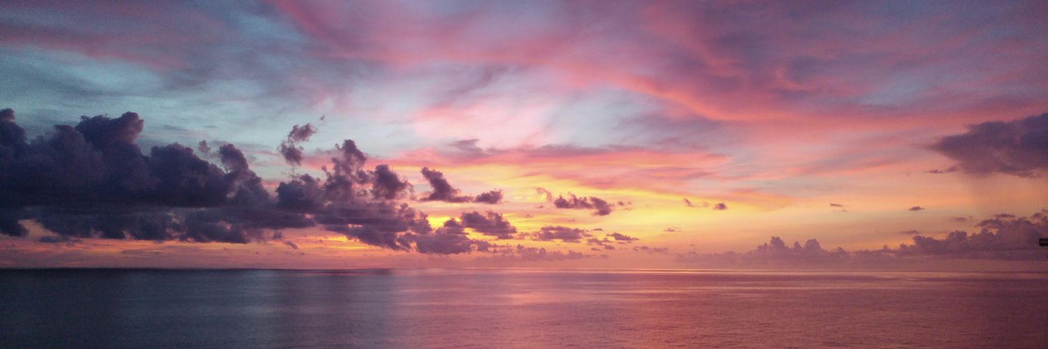 Nikoladub's profile banner image
