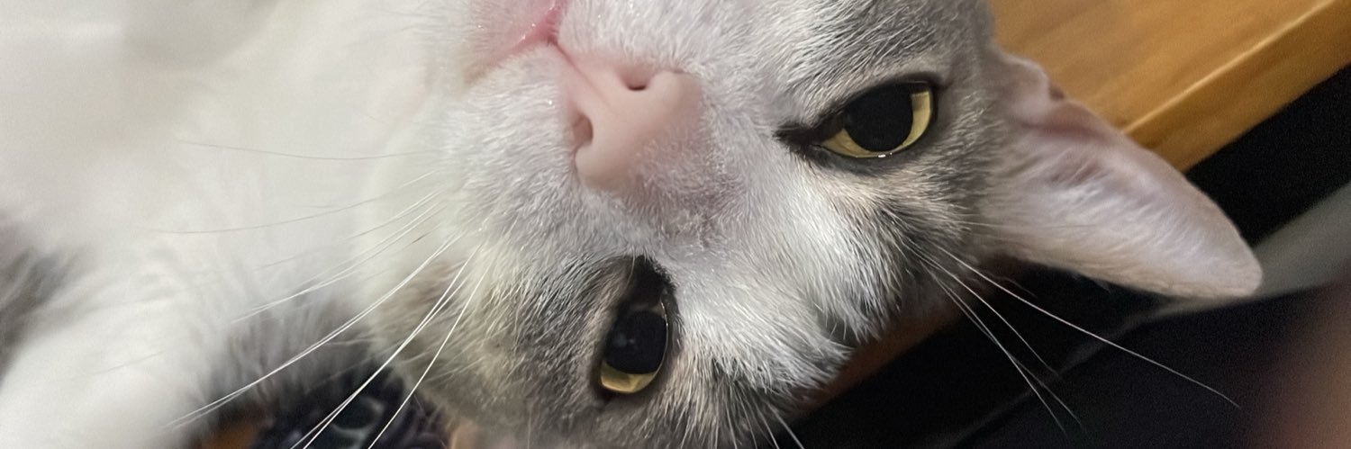 tomischamber's profile banner image