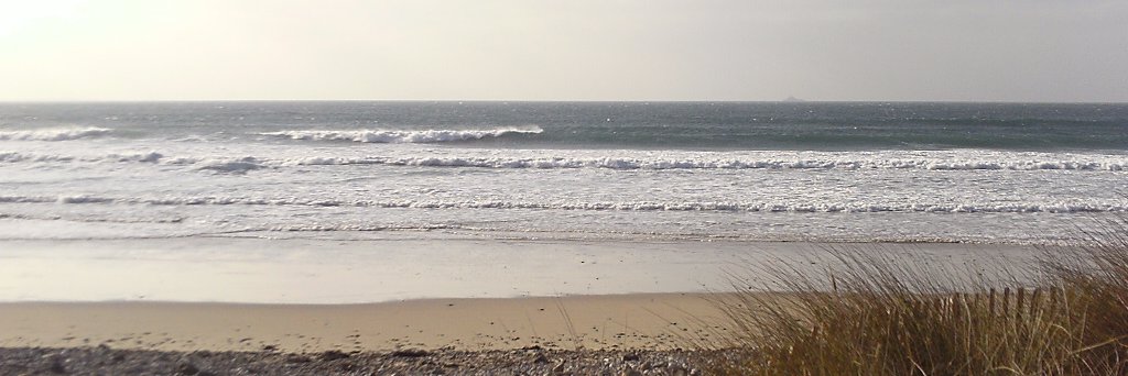 Valérie Guichon banner