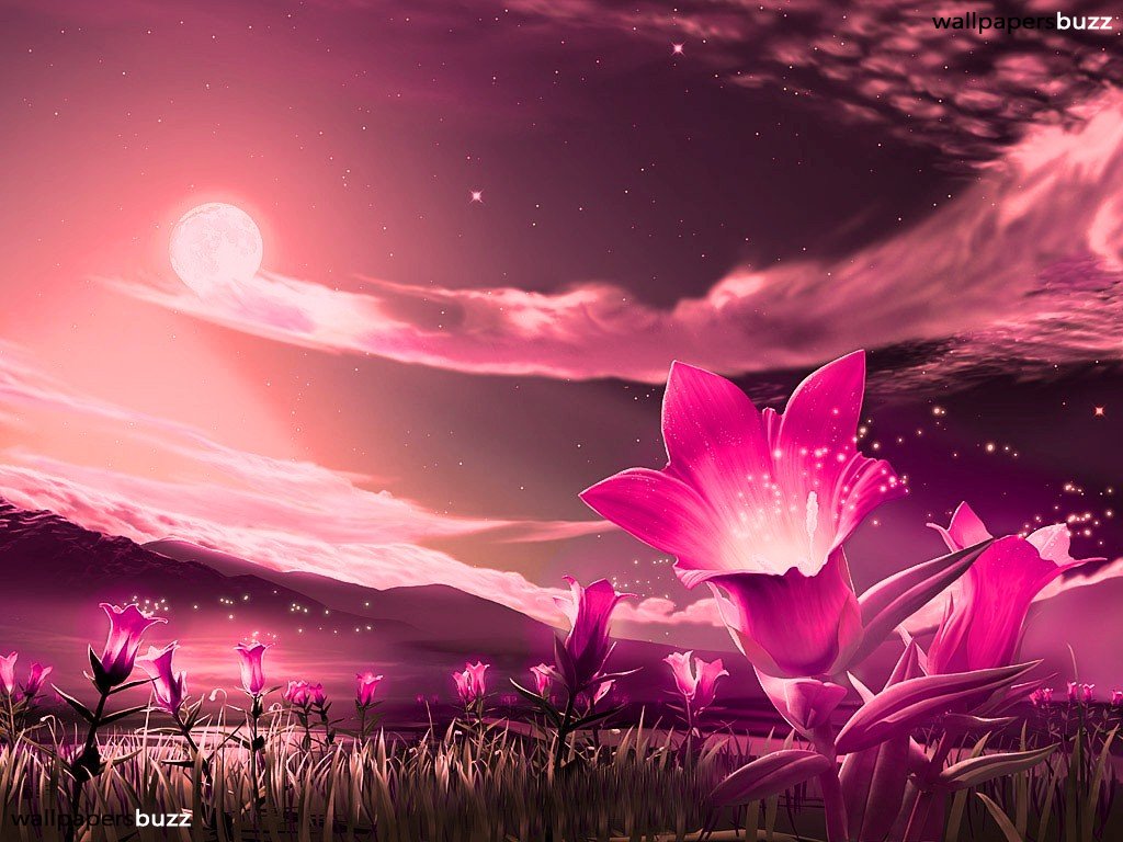 Ahri Wυν Asudra banner