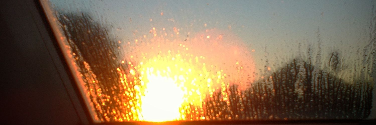Nevo__'s profile banner image