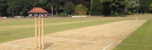sandringhamcc1 Profile Banner
