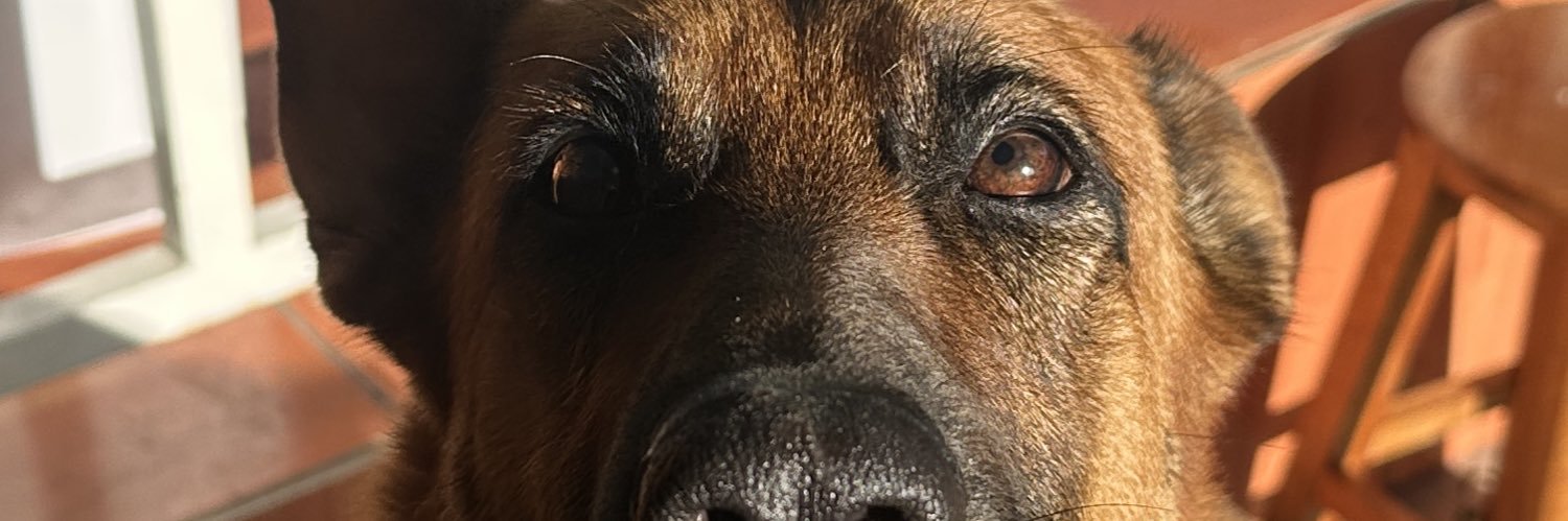liz10___'s profile banner image