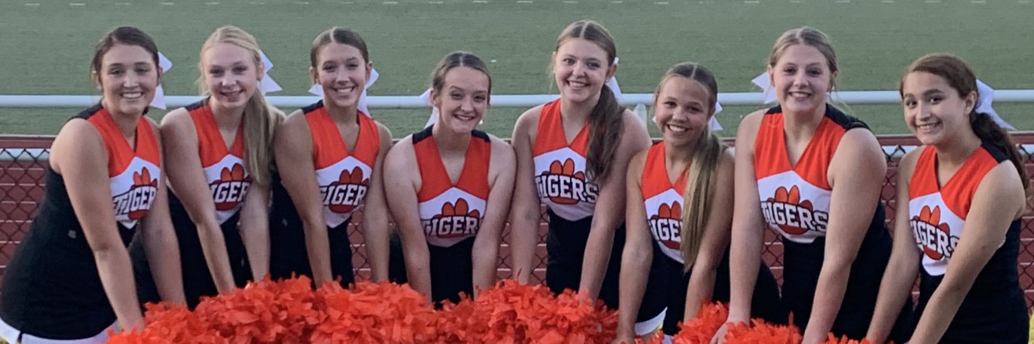 NFTigerCheer's profile banner image