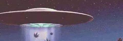 BlogdeHarry's profile banner image