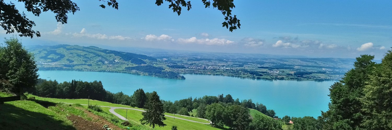 swissjoho's profile banner image