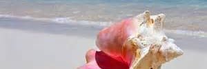 The_Conchoror's profile banner image