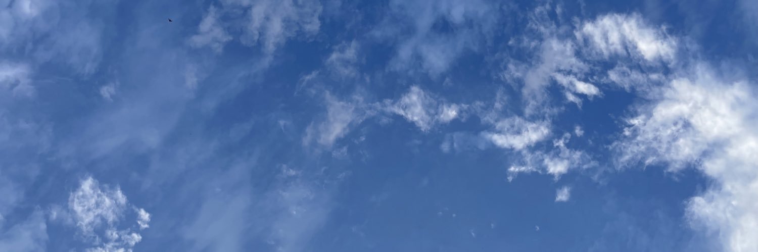 allele131's profile banner image