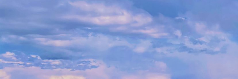 nikki banner